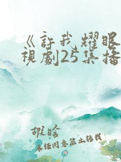 《许我耀眼》电视剧25集播放