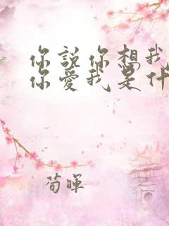 你说你想我你说你爱我是什么歌