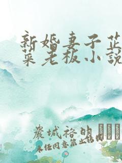 新婚妻子芷珊与菜老板小说笔趣阁