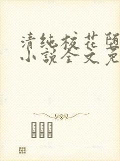 清纯校花堕落记小说全文免费阅读