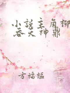 小说主角柳无邪 吞天神鼎