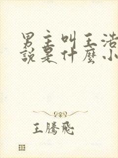 男主叫王浩的小说是什么小说