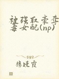 被强取豪夺的恶毒女配(np)