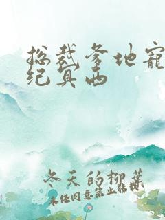 总裁爹地宠上天纪冥西