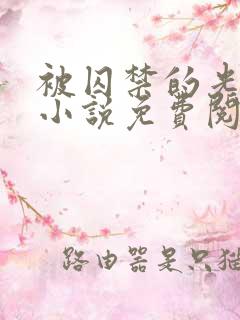 被囚禁的光明神小说免费阅读