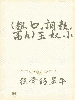 (粗口,调教,高h)主奴小说