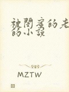 被闺蜜的老公干的小说