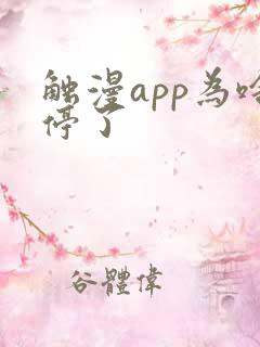 触漫app为啥停了