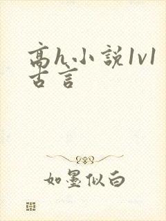 高h小说1v1古言