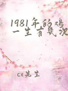 1981年的鸡一生有几次婚姻