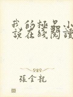 我的极品小姨小说在线阅读免费