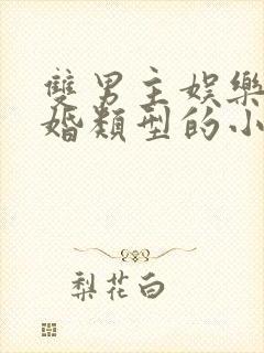 双男主娱乐圈隐婚类型的小说