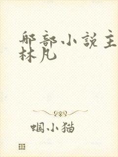 哪部小说主角叫林凡