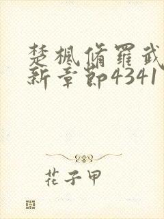 楚枫修罗武神最新章节4341