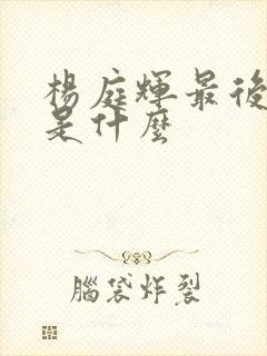 杨庭辉最后结局是什么