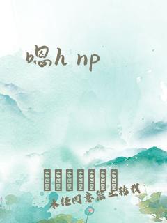 嗯h np