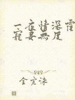 一夜情深霍先生宠妻无度