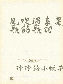 风吹过来是哪首歌的歌词