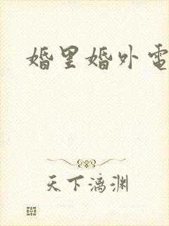 婚里婚外电视剧