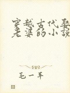 穿越古代娶很多老婆的小说