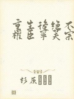 重生后绝不嫁给权臣宁芙宗肆