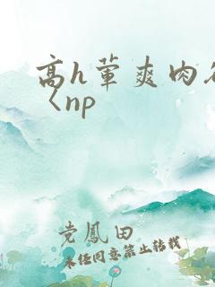 高h荤爽肉欲文〈np