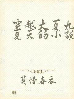 穿越大夏九皇子夏天的小说