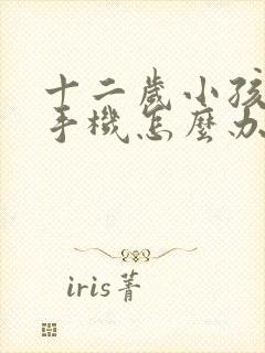 十二岁小孩沉迷手机怎么办