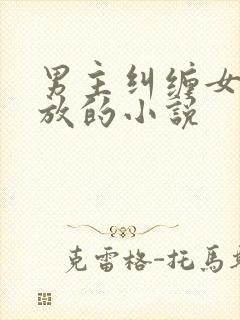 男主纠缠女主不放的小说