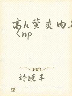 高h荤爽肉欲文〈np