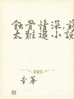 蚀骨情深,前妻太难追小说最新