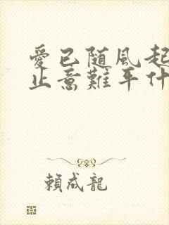 爱已随风起,风止意难平什么意思