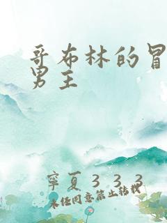 哥布林的冒险双男主