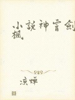 小说神霄剑修林枫