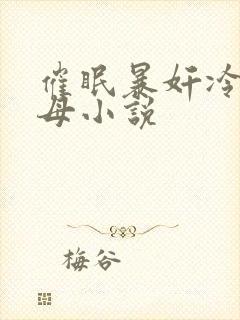 催眠暴奸冷艳美母小说