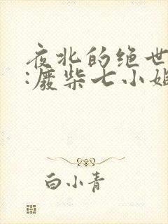 夜北的绝世神偷:废柴七小姐