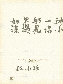 如果那一秒,我没遇见你小说