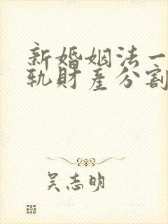 新婚姻法一方出轨财产分割