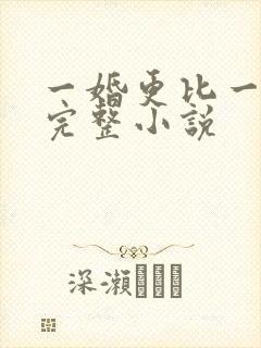 一婚更比一婚高完整小说