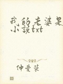 我的老婆是总裁小说txt