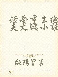 渣受重生抱紧前夫大腿小说txt