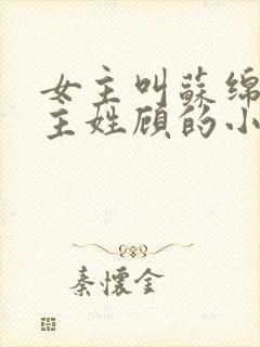 女主叫苏绵绵男主姓顾的小说