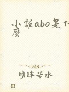 小说abo是什么