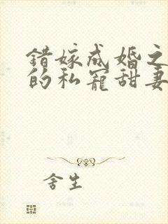 错嫁成婚之总裁的私宠甜妻在线阅读