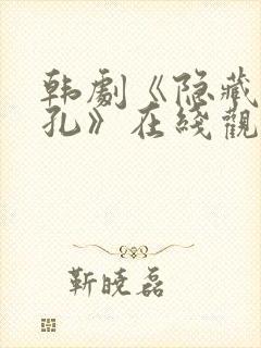 韩剧《隐藏的面孔》在线观看