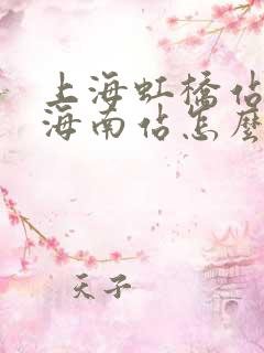 上海虹桥站去上海南站怎么走