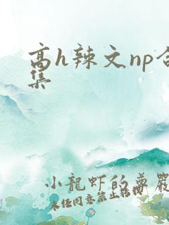 高h辣文np合集
