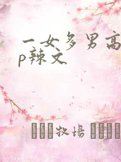 一女多男高hnp辣文
