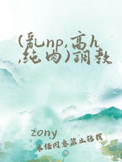 (乱np,高h,纯肉)调教