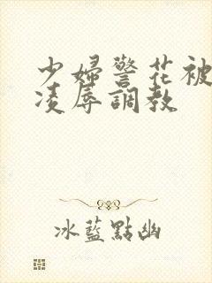 少妇警花被慧姐凌辱调教